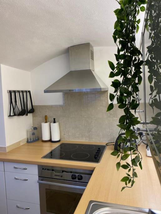 Spacious Flat In The Most Desirable Area Of London Eksteriør billede